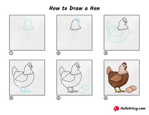 How to Draw a Hen - HelloArtsy