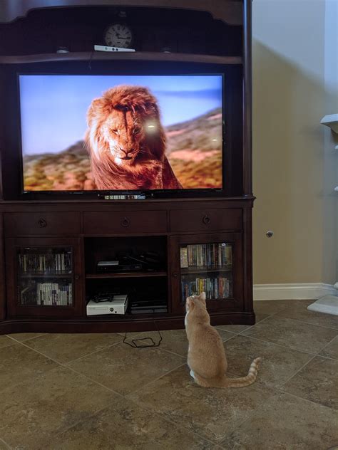 Where to put soundbar on this setup : r/Soundbars