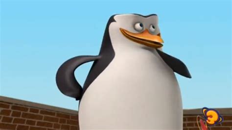 Skipper! - Penguins of Madagascar Photo (25463809) - Fanpop