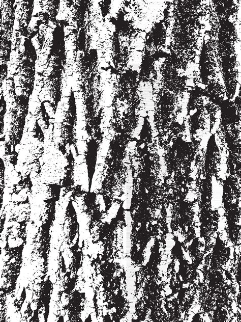 Grunge tree bark texture. Distressed overlay texture. Black and white ...