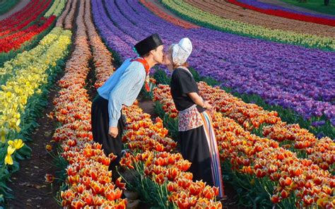 Rực Rỡ Lễ Hội Hoa Tulip Hà Lan