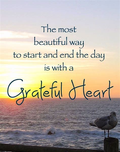 Quotes About Grateful Heart - SERMUHAN