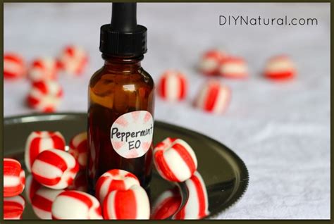 Peppermint Oil Uses - From Toothpaste To Muscle Relaxer