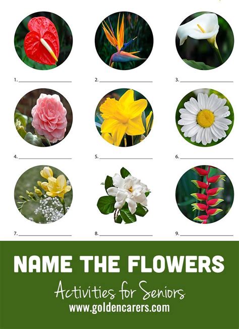 Name the Flowers Quiz #1 | Activities, Flower games, Senior activities