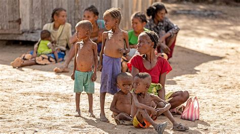 1,9 milioane de copii mor de foame în Cornul Africii - Ecologic