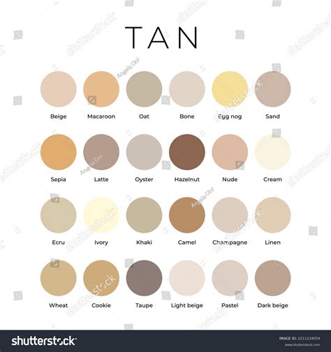 Tan Beige Color Shades Swatches Palette Stock Vector (Royalty Free ...