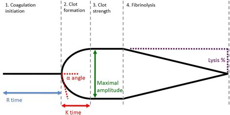 Comparison of Thromboelastography and Conventional Coagulation Tests in Patients With Severe ...