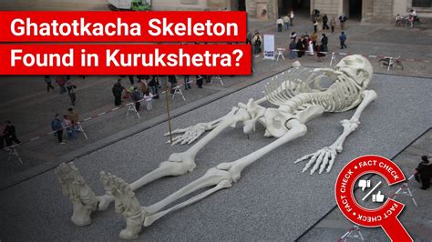 Giant Human Skeletons Wiki