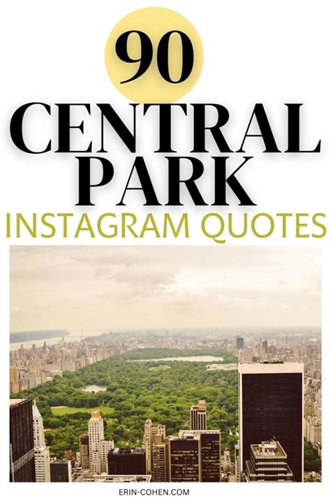 90 Central Park Captions That Are Scroll-Stopping - Erin Cohen