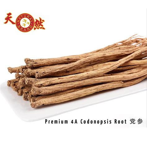 Premium Codonopsis Root Dang Shen 4A 100g - Wholesale bird nest ...