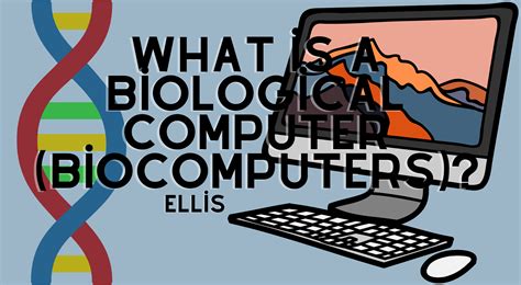 What is a Biological Computer (Biocomputers)? | by eLLis | Article