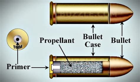 Parts of a Bullet: Understanding Ammunition | Breach Bang Clear