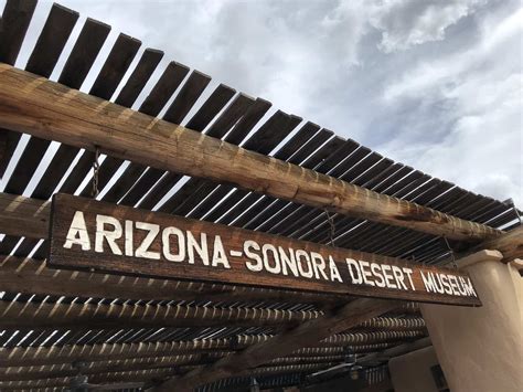 Arizona-Sonora Desert Museum Guide - Tickets, Parking, Exhibits | TucsonTopia