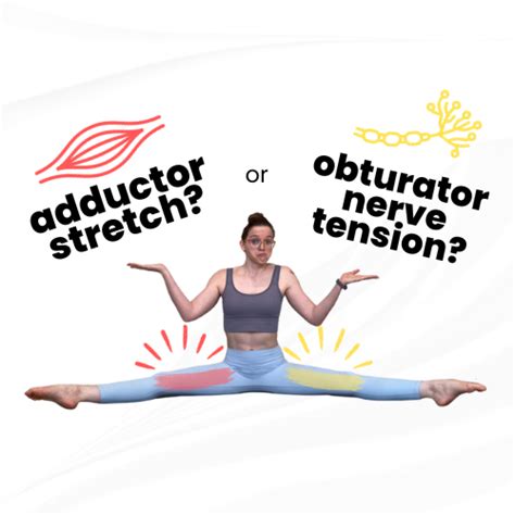 Obturator Nerve Tension Test and Nerve Glide - Help for Straddle and Middle Splits — Dani Winks ...