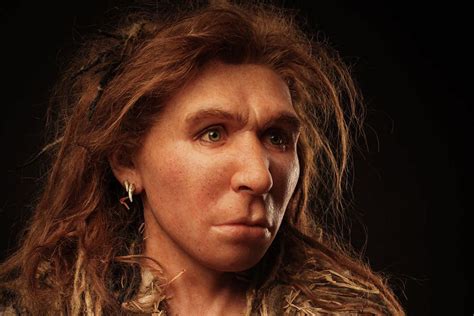 First traces of Homo sapiens DNA in a Neanderthal woman | Tarih öncesi ...