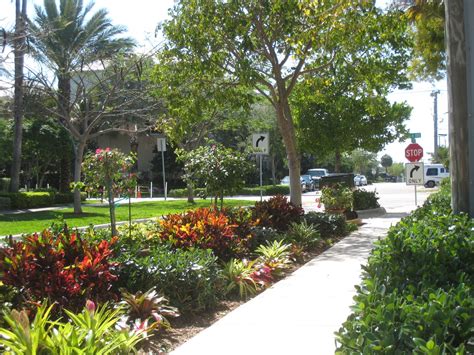 south florida landscaping ideas pictures | IFAS Palm Beach Extension: Environmental Horticulture ...