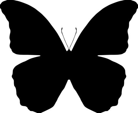 Butterfly Silhouettes - Free Vector Download | Qvectors. - Cliparts.co ...