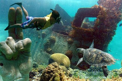 TripAdvisor | Reef and Shipwreck Snorkeling Tour in Cancun provided by ...