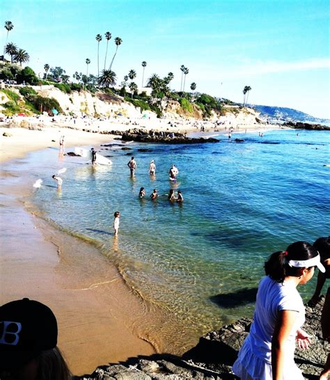 divers cove laguna beach snorkeling - Brittaney Fife