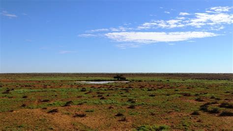 Productivity Commission recommends sweeping reforms to Australia's pastoral leases - ABC News