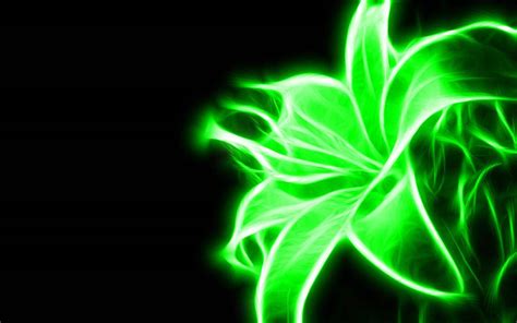 Download Cool Green Stargazer Flower Wallpaper | Wallpapers.com