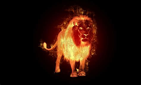 Fire Lion Wallpapers - Top Free Fire Lion Backgrounds - WallpaperAccess