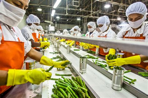 Unveiling the Scope of the Food Processing Industry in India - FICSI