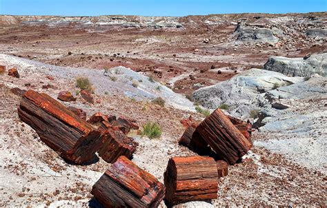 Travel Back in Time at Petrified Forest National Park – Boarding Pass