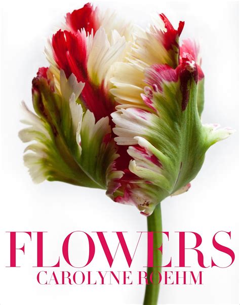 Splendid Sass: CAROLYN ROEHM'S "FLOWERS" BOOK REVIEW