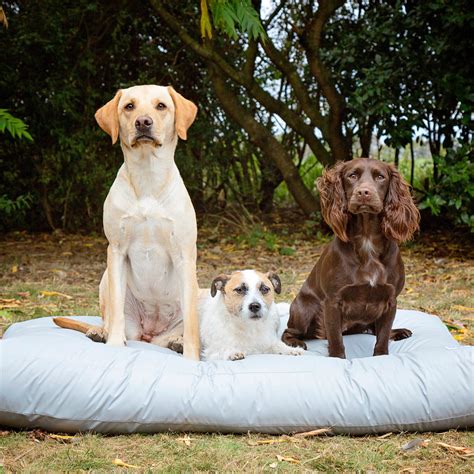 Waterproof Liners for Dog Beds – Designed for Dogs