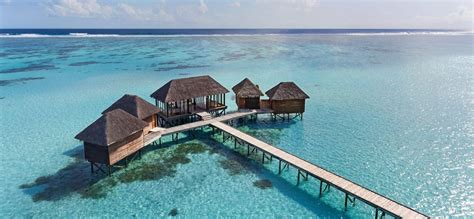 Best Florida Overwater Bungalows & Huts in 2024 - tripbirdie.com