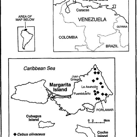 Margarita Island, Venezuela. Locations where Cebus monkeys were being ...