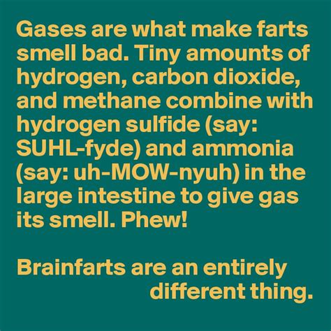 Gases are what make farts smell bad. Tiny amounts of hydrogen, carbon ...