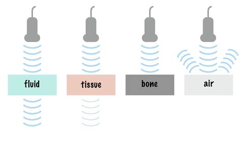 Ultrasound Wave Attenuation of Different Tissue Including Fluid Soft ...