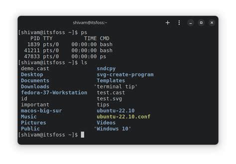 10 Best Fonts for Linux Terminal