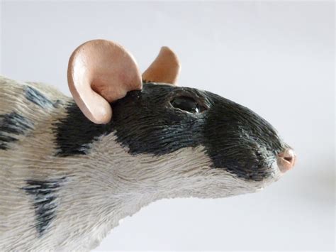 Rat Sculpture Close Up by philosophyfox on DeviantArt