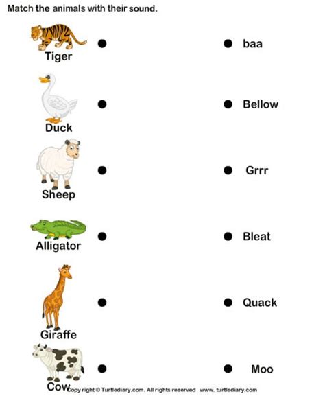 Animal Movement For Grade 1 Worksheets | 1st grade worksheets ...