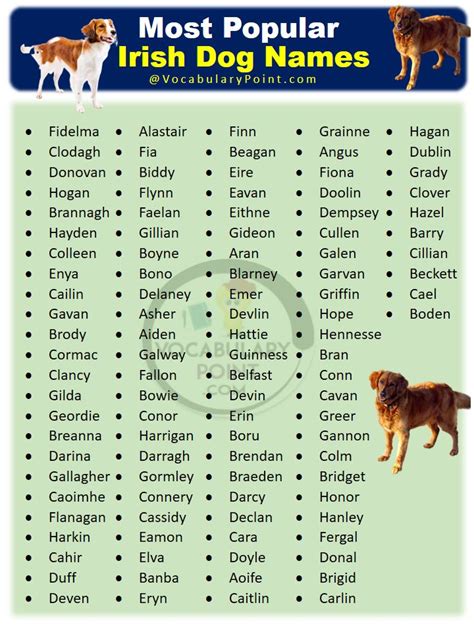 200+ Famous Irish Dog Names | Dog names, Irish dog, Irish