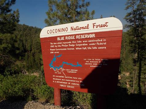 Camping at Blue Ridge Reservoir near Strawberry, Arizona - Floradise | Blue ridge, Havasu falls ...