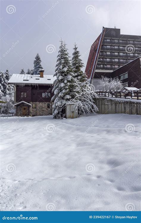 Winter View of Ski Resort of Borovets at Rila Mountain, Bulgaria Editorial Photography - Image ...