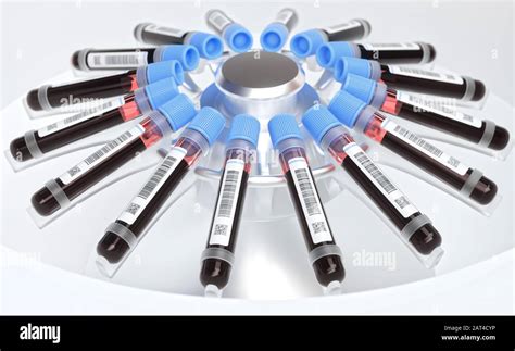 Blood tubes in the centrifuge. Concept image of blood tests, diseases and genetic and laboratory ...