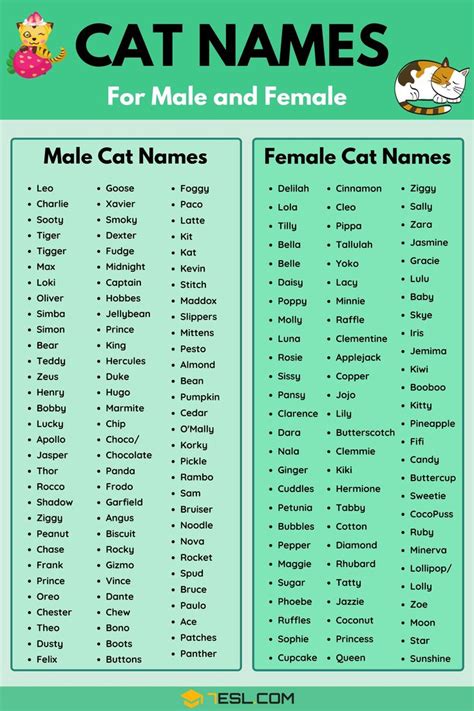 Cat Names: 70+ Most Popular Male and Female Cat Names • 7ESL | Cute cat names, Girl cat names ...