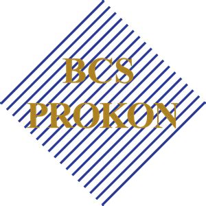 BCS Logo PNG Vector (AI) Free Download