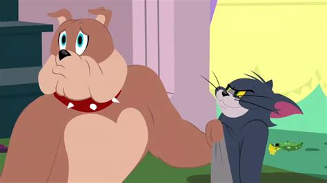 Spike Tom And Jerry Kids Show Wiki Fandom - vrogue.co