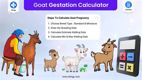 Goat Gestation Calculator | Goat Pregnancy Calculator - Drlogy