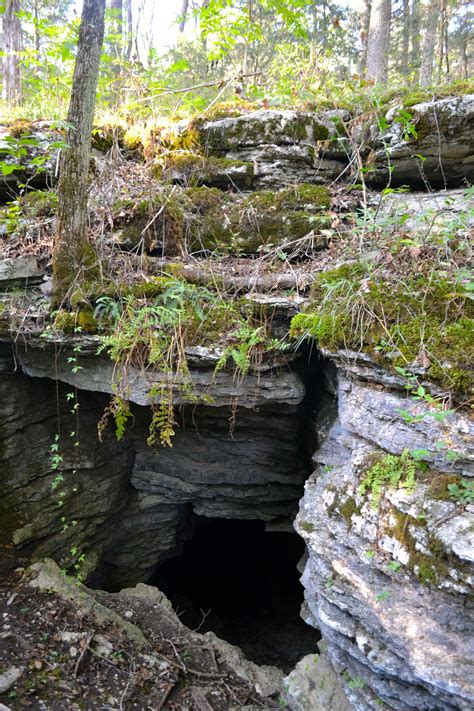 Cedars of Lebanon State Park | State parks, Lebanon tennessee, New adventures