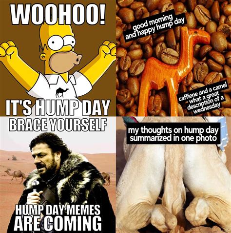 100+ Happy Hump Day Funny Meme - Meme Funny