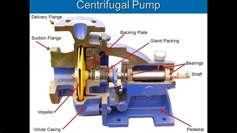 Fire Supression System Water Leak in Slipped Bearing Gland Packing - Mechanical - YouTube