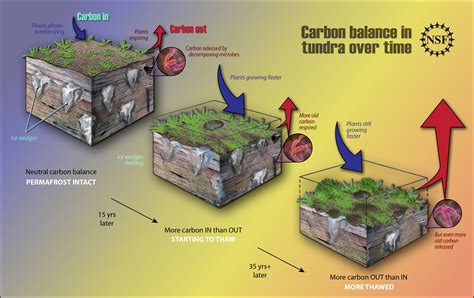 Permafrost and Climate Change