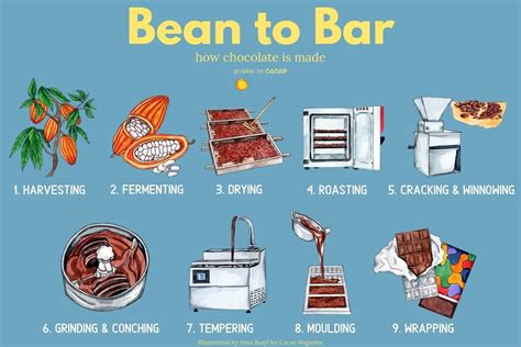 Bean-to-bar | Treize Chocolats